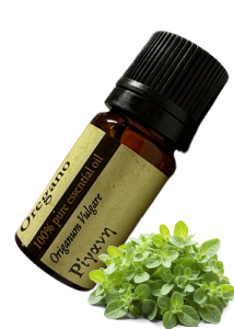 Huile Essentielle ORIGAN (Origanum Vulgare) EVERGETIKON 5 ml