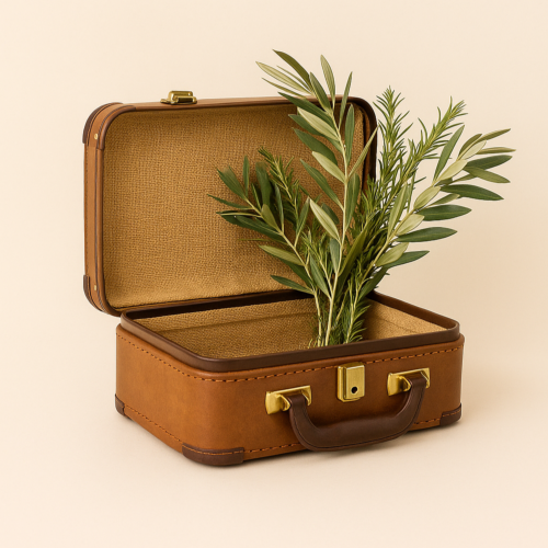 Palier 30 € - 1 échantillon offert